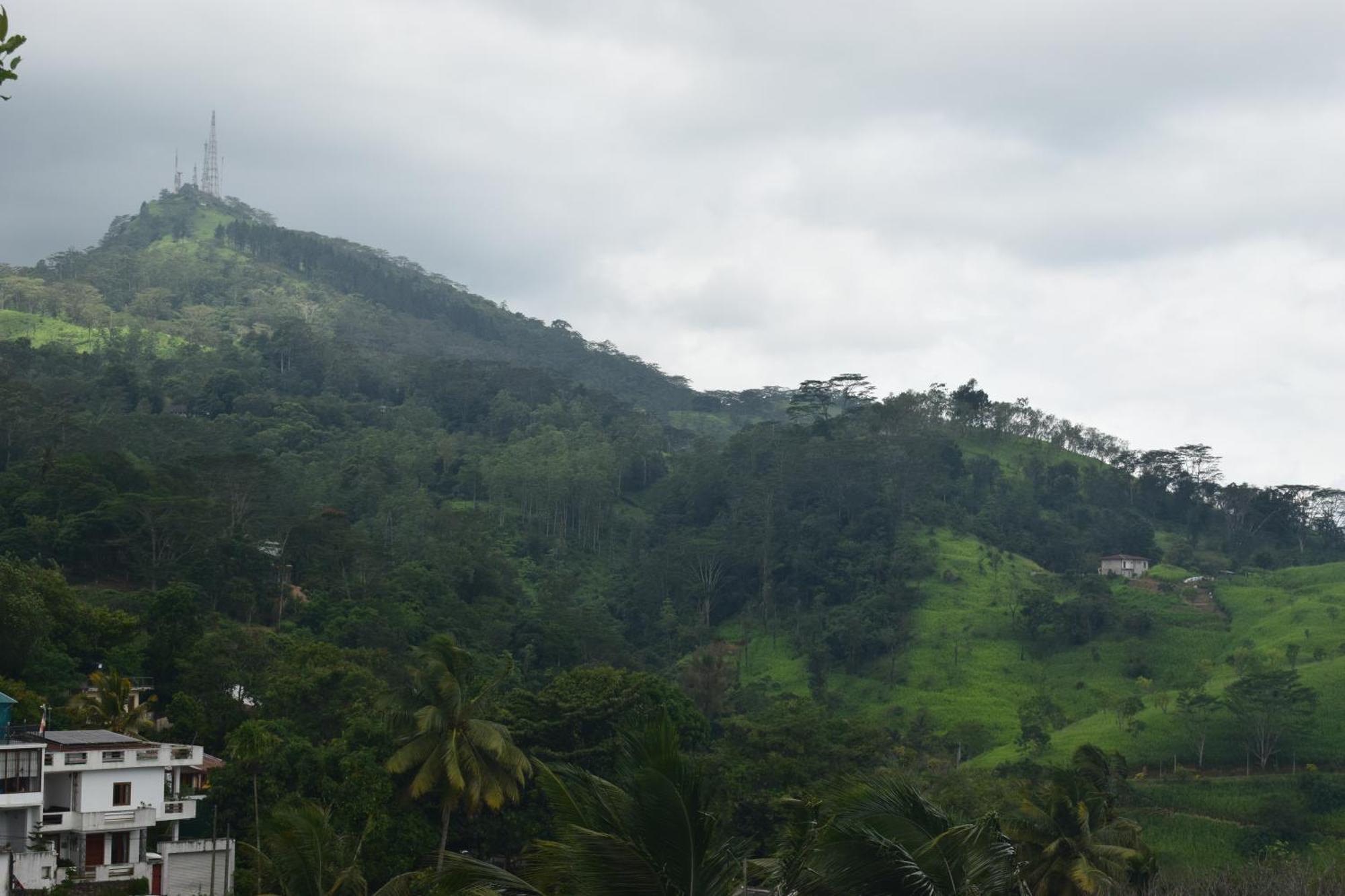 Namaya Nature Apartment Kandy Bagian luar foto